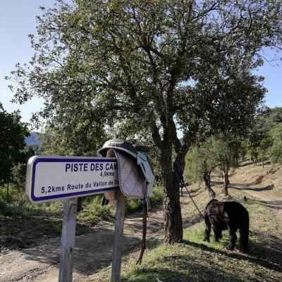 Randonnée Pierrefeu Dimanche 17/11/2019