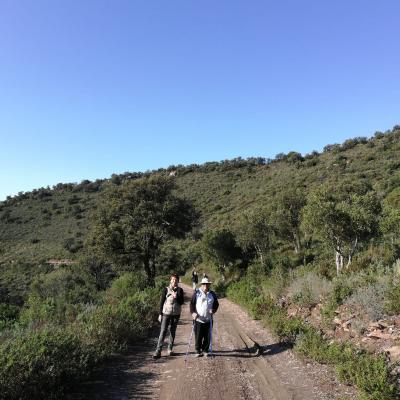 Randonnée Pierrefeu Dimanche 17/11/2019