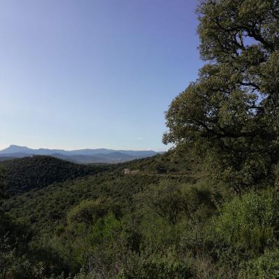 Randonnée Pierrefeu Dimanche 17/11/2019