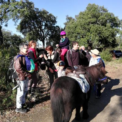 Randonnée Pierrefeu Dimanche 17/11/2019