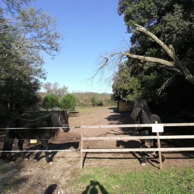Randonnée Pierrefeu Dimanche 17/11/2019
