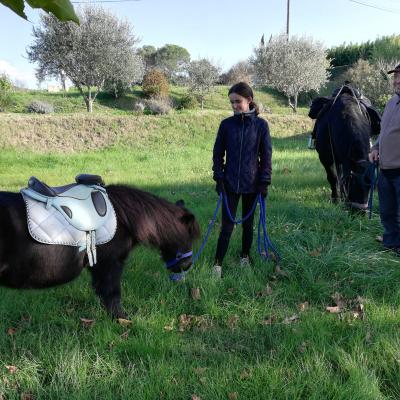 Randonnée Pierrefeu Dimanche 17/11/2019