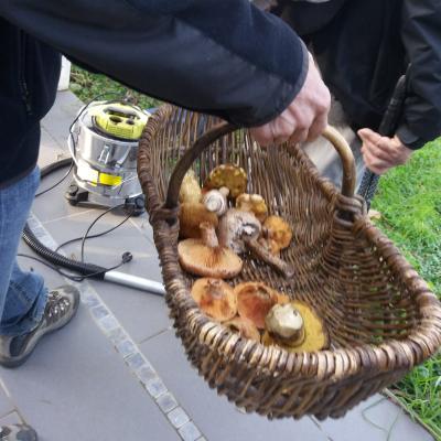 Randonnée Pierrefeu Dimanche 17/11/2019