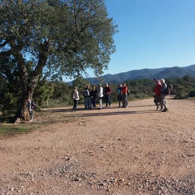 Randonnée Les Maures 18/12/2019