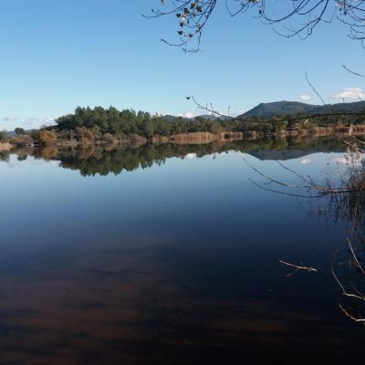 Randonnée Les Maures 18/12/2019
