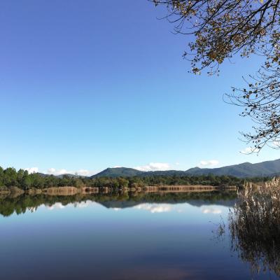 Randonnée Les Maures 18/12/2019