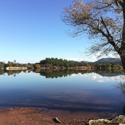 IMG-20191219-WA0030