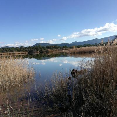 IMG-20191219-WA0031