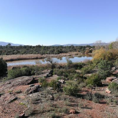 IMG-20191219-WA0036